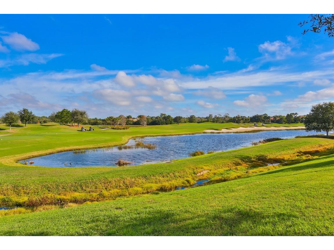 7121 River Hammock Drive #303 Bradenton FL 34212 A4683789 image36