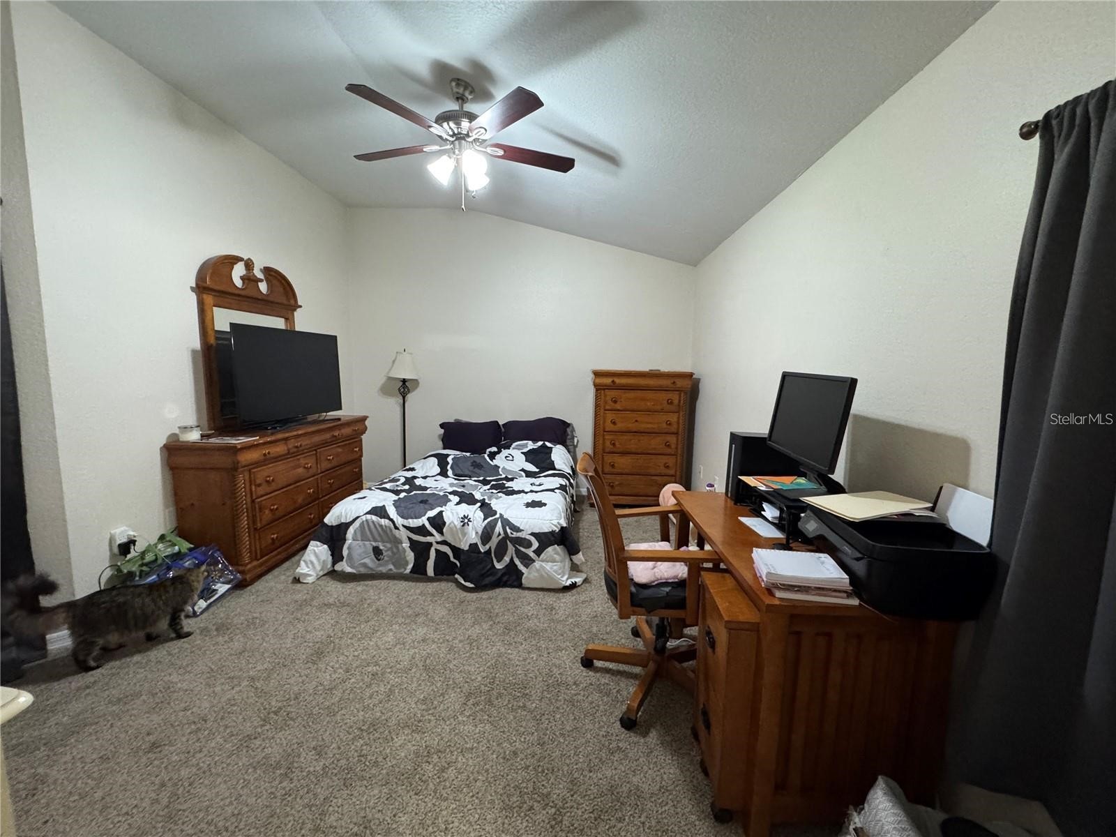 7121 Scenic Hills Boulevard Lakeland FL 33810 L4960563 image13