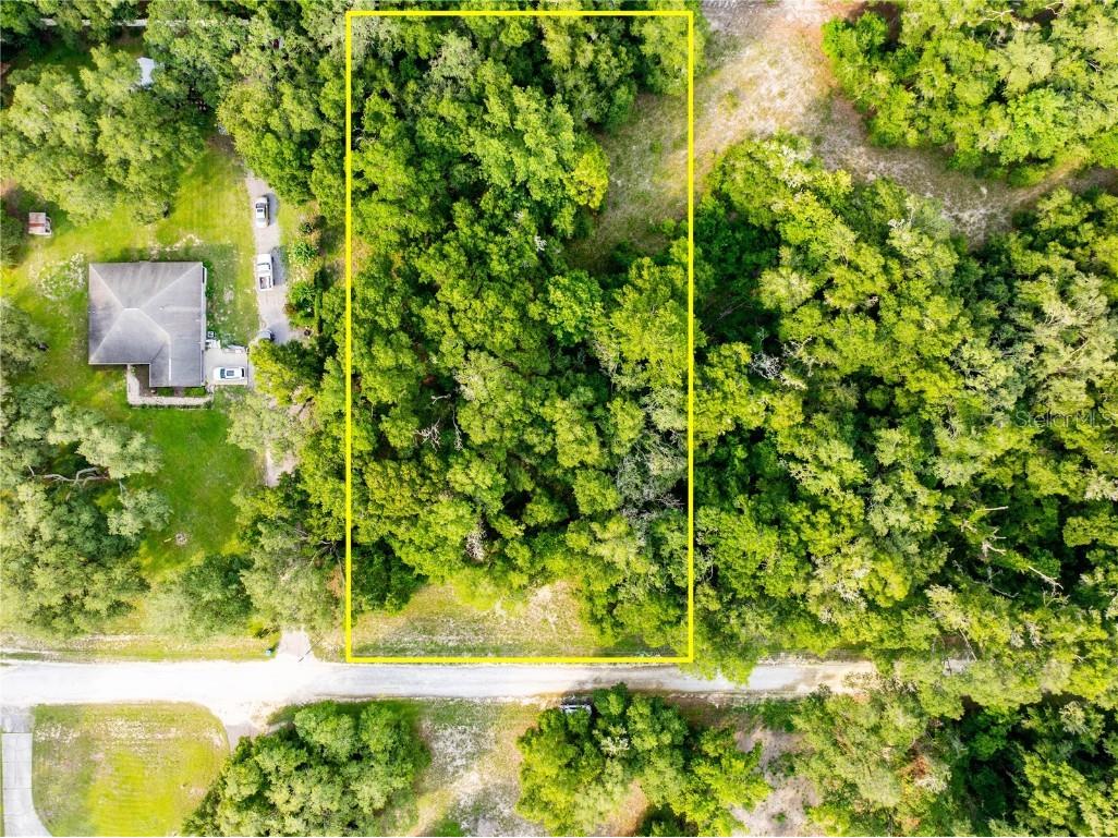 7122 Elaine Drive Webster FL 33597 T3537509 image1