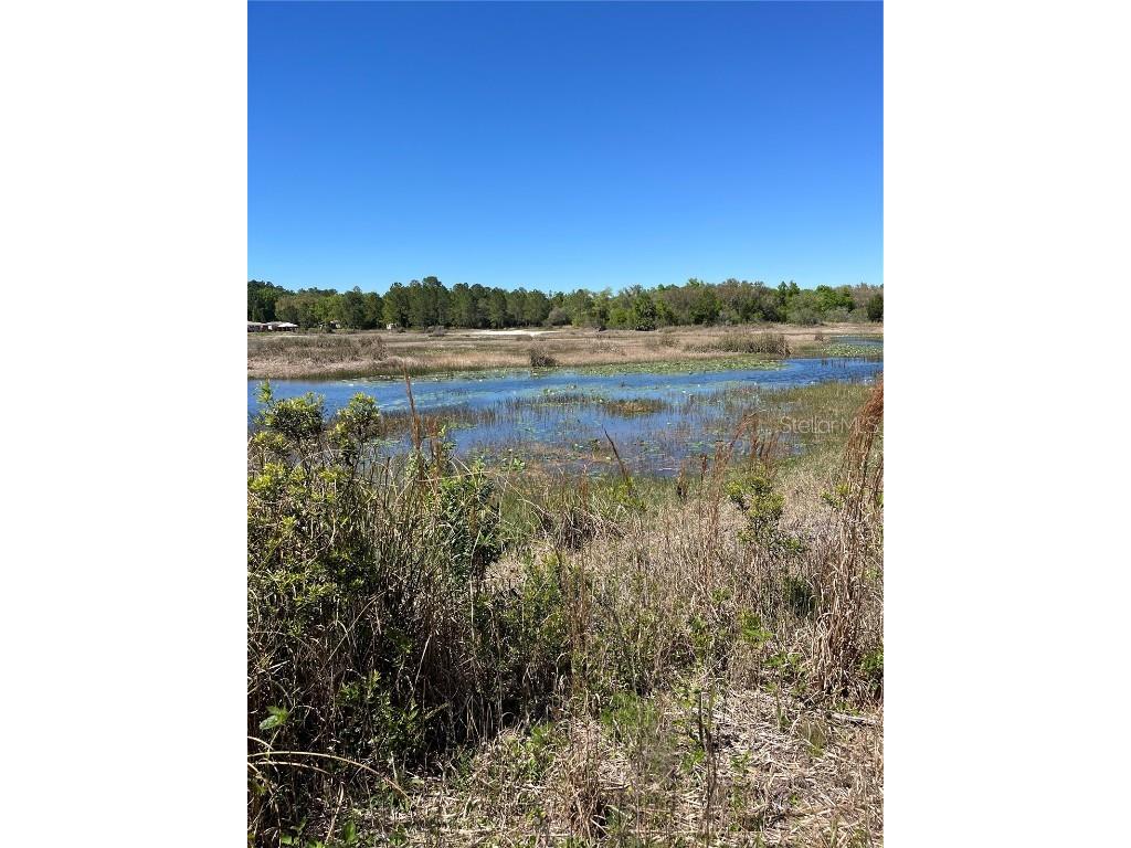 7123 Glenchester Drive Webster FL 33597 - Long Lake O6192115 image10