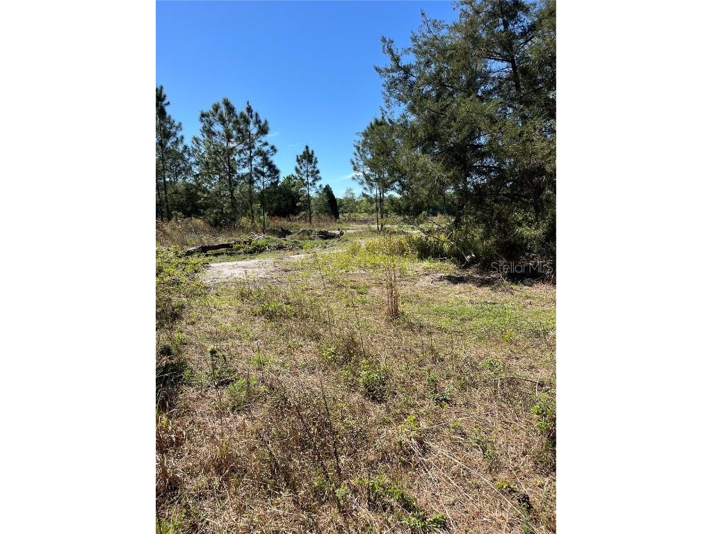 7123 Glenchester Drive Webster FL 33597 - Long Lake O6192115 image11