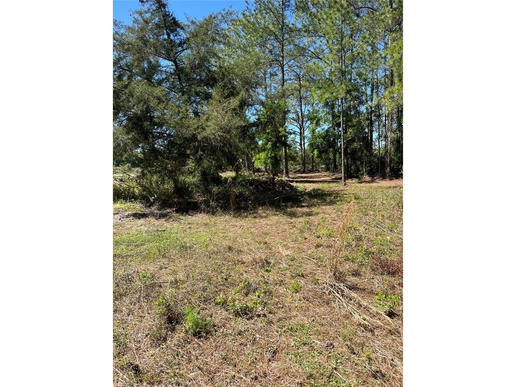 7123 Glenchester Drive Webster FL 33597 - Long Lake O6192115 image12