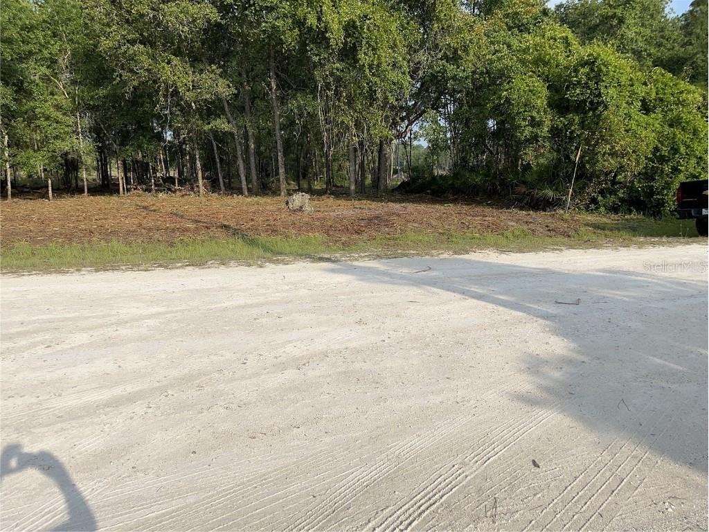 7123 Glenchester Drive Webster FL 33597 - Long Lake O6192115 image2