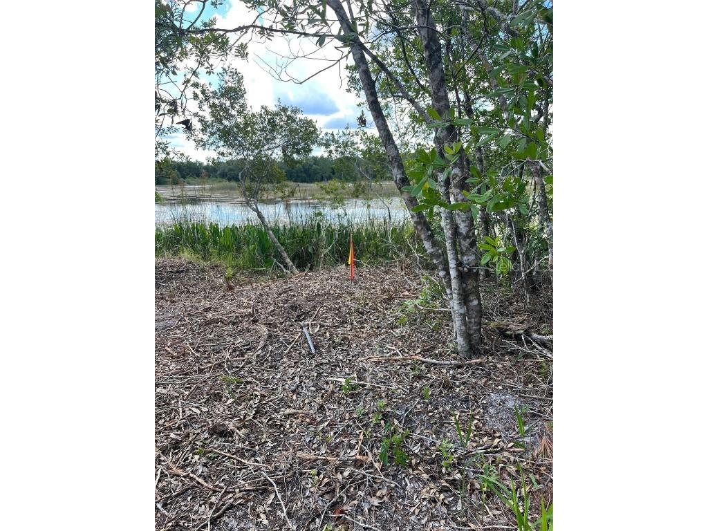 7123 Glenchester Drive Webster FL 33597 - Long Lake O6192115 image3