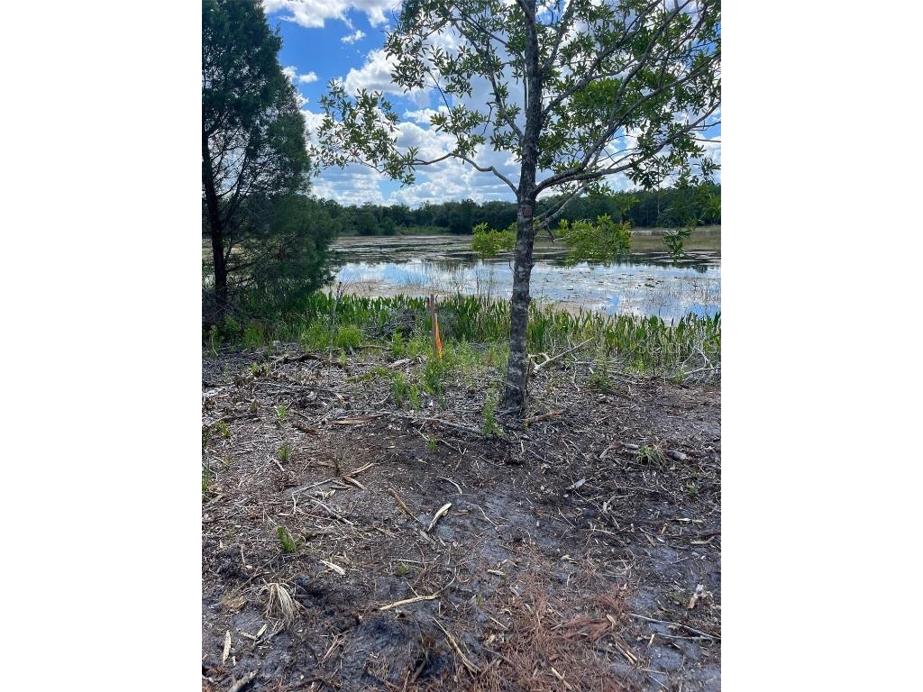 7123 Glenchester Drive Webster FL 33597 - Long Lake O6192115 image4