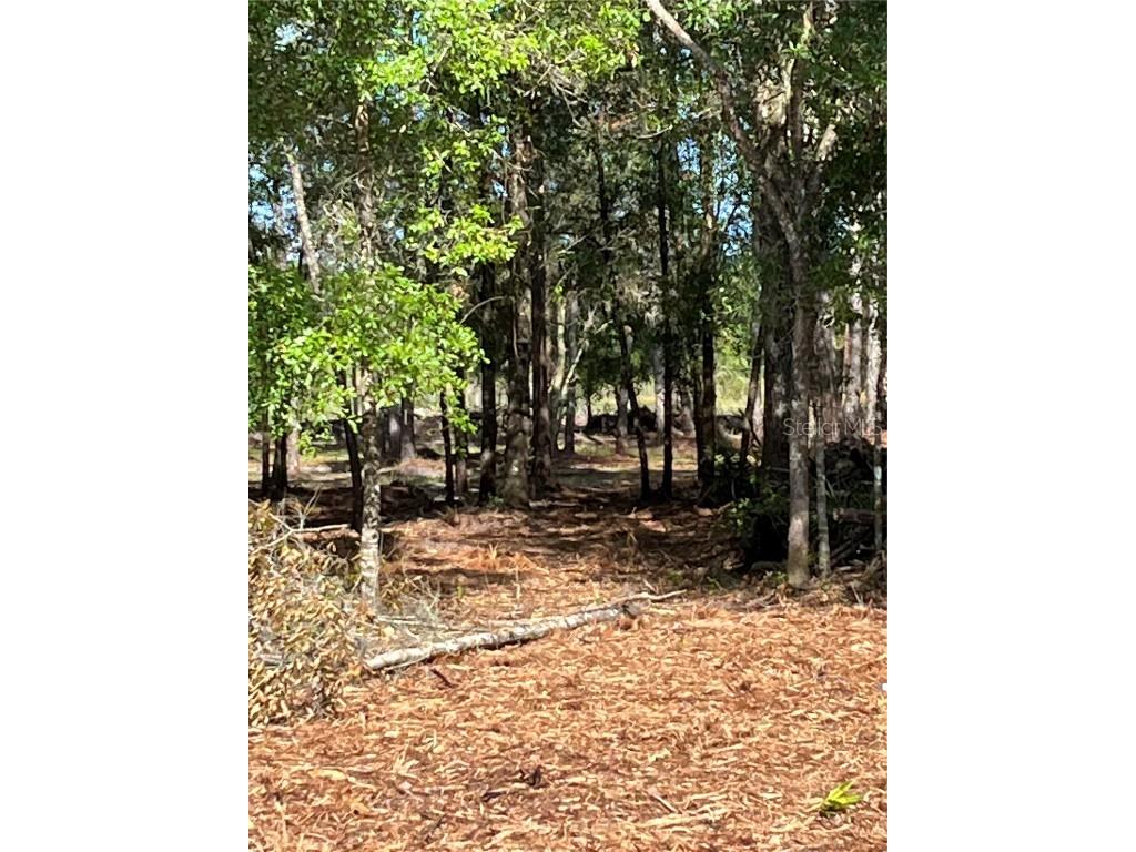 7123 Glenchester Drive Webster FL 33597 - Long Lake O6192115 image7