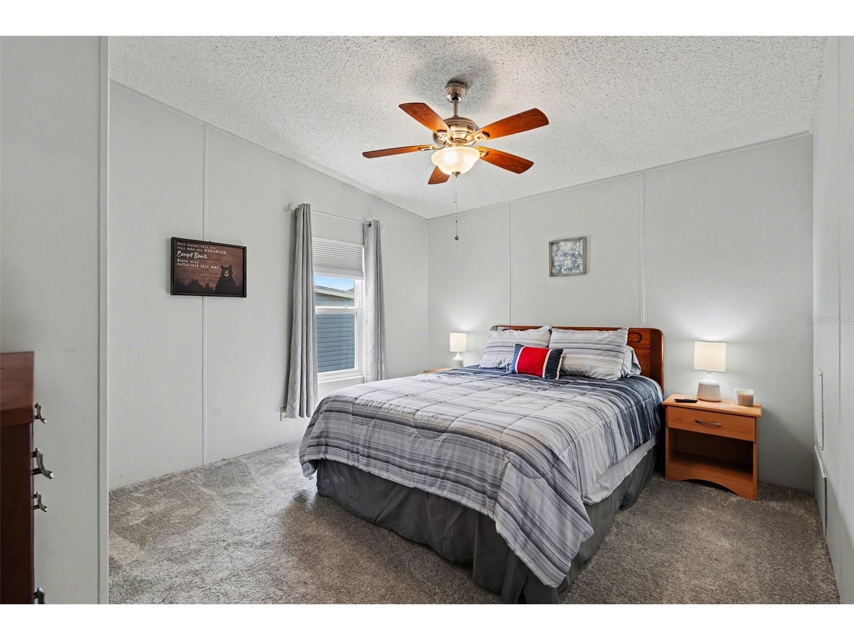 7123 Siesta Street Zephyrhills FL 33541 TB8486795 image16