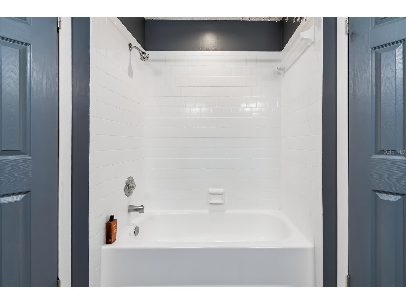 7123 Silvermill Drive Tampa FL 33635 TB8488026 image31