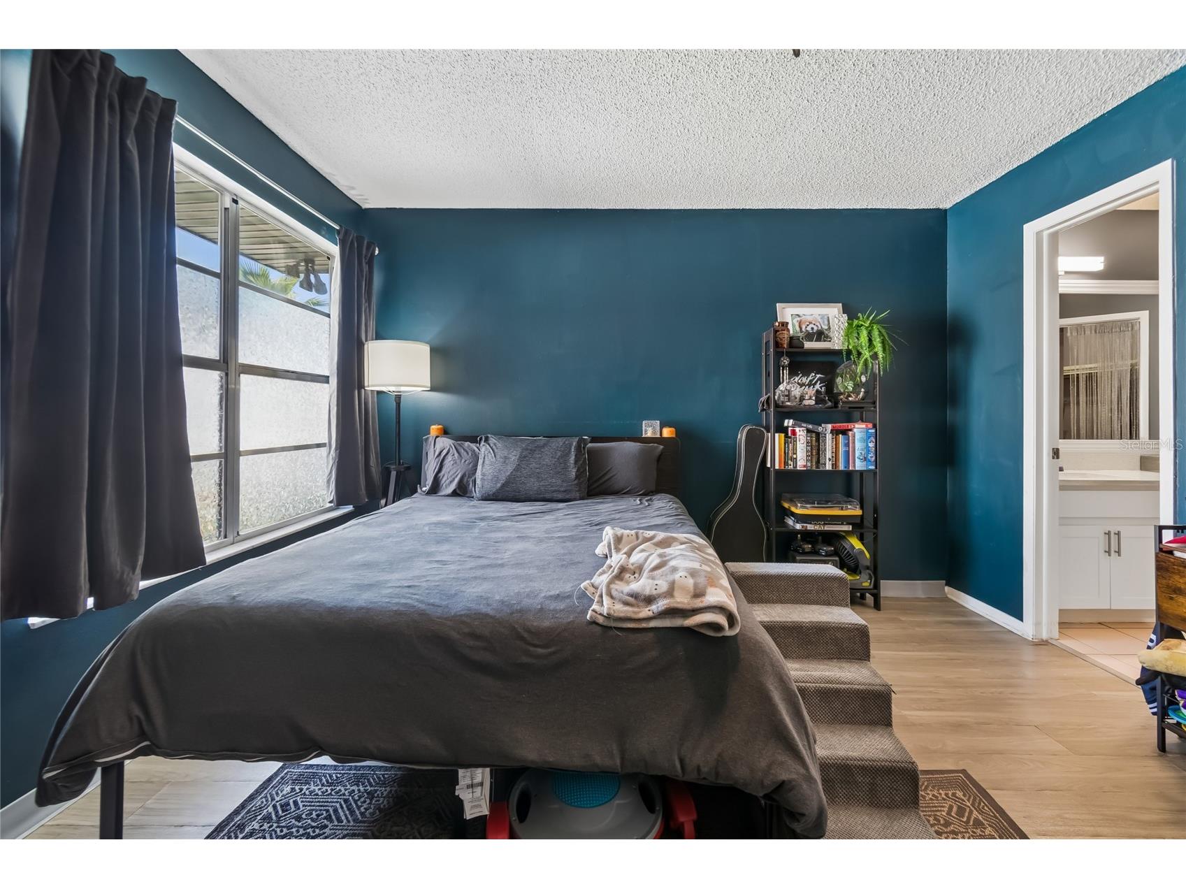 7123 Silvermill Drive Tampa FL 33635 TB8488026 image36