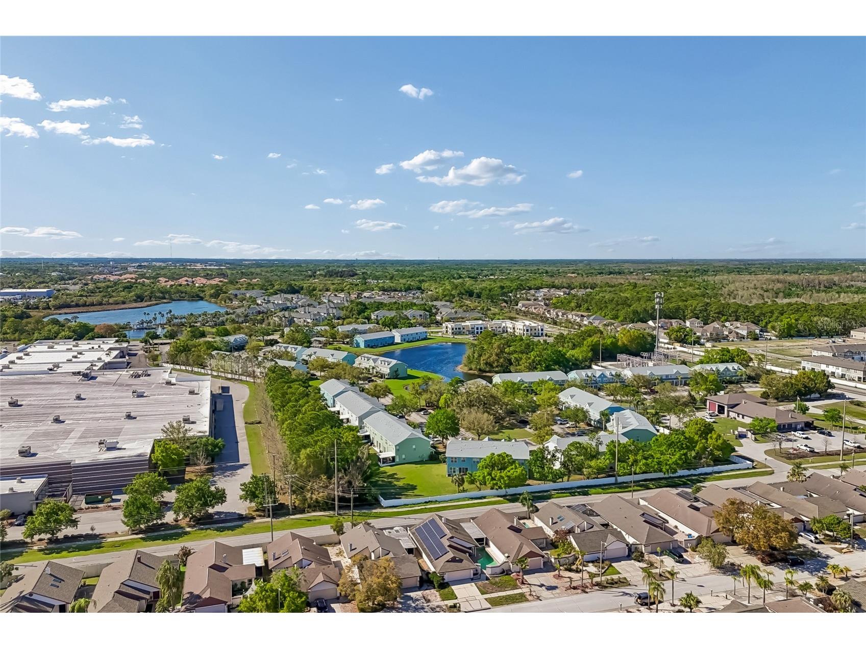 7123 Silvermill Drive Tampa FL 33635 TB8488026 image47