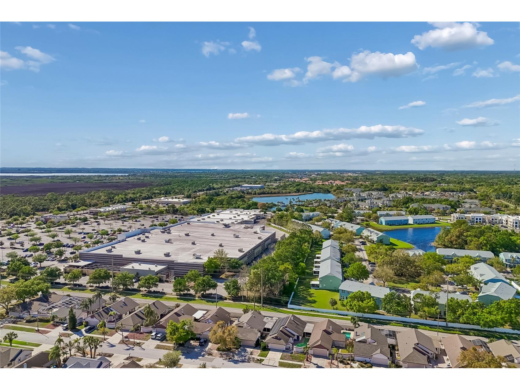 7123 Silvermill Drive Tampa FL 33635 TB8488026 image48