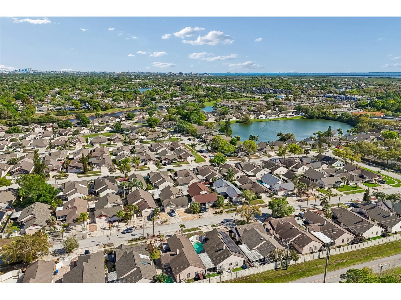 7123 Silvermill Drive Tampa FL 33635 TB8488026 image50