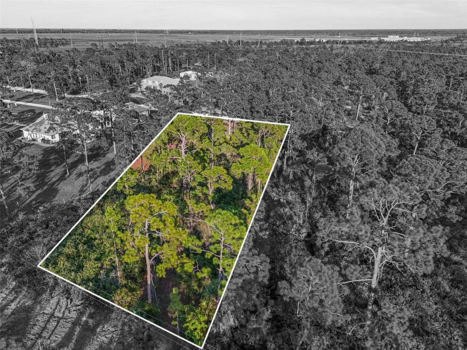 7123 Sweden Boulevard Punta Gorda FL 33982 A4680992 image4