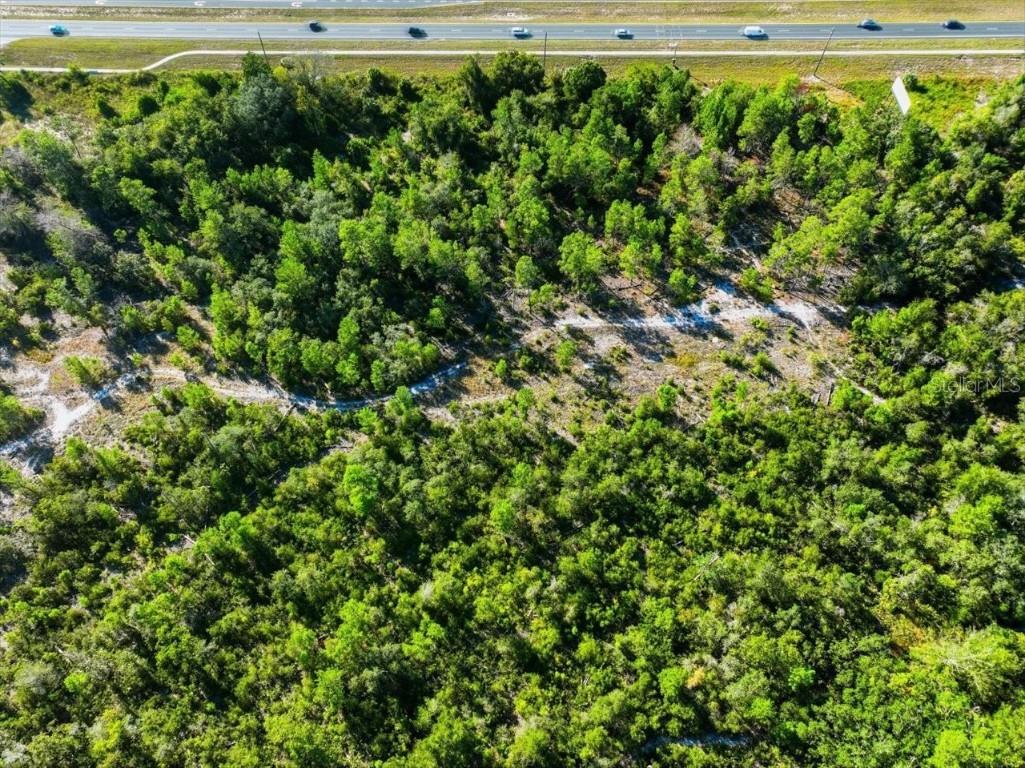 7124 Commercial Way Weeki Wachee FL 34613 TB8442036 image24