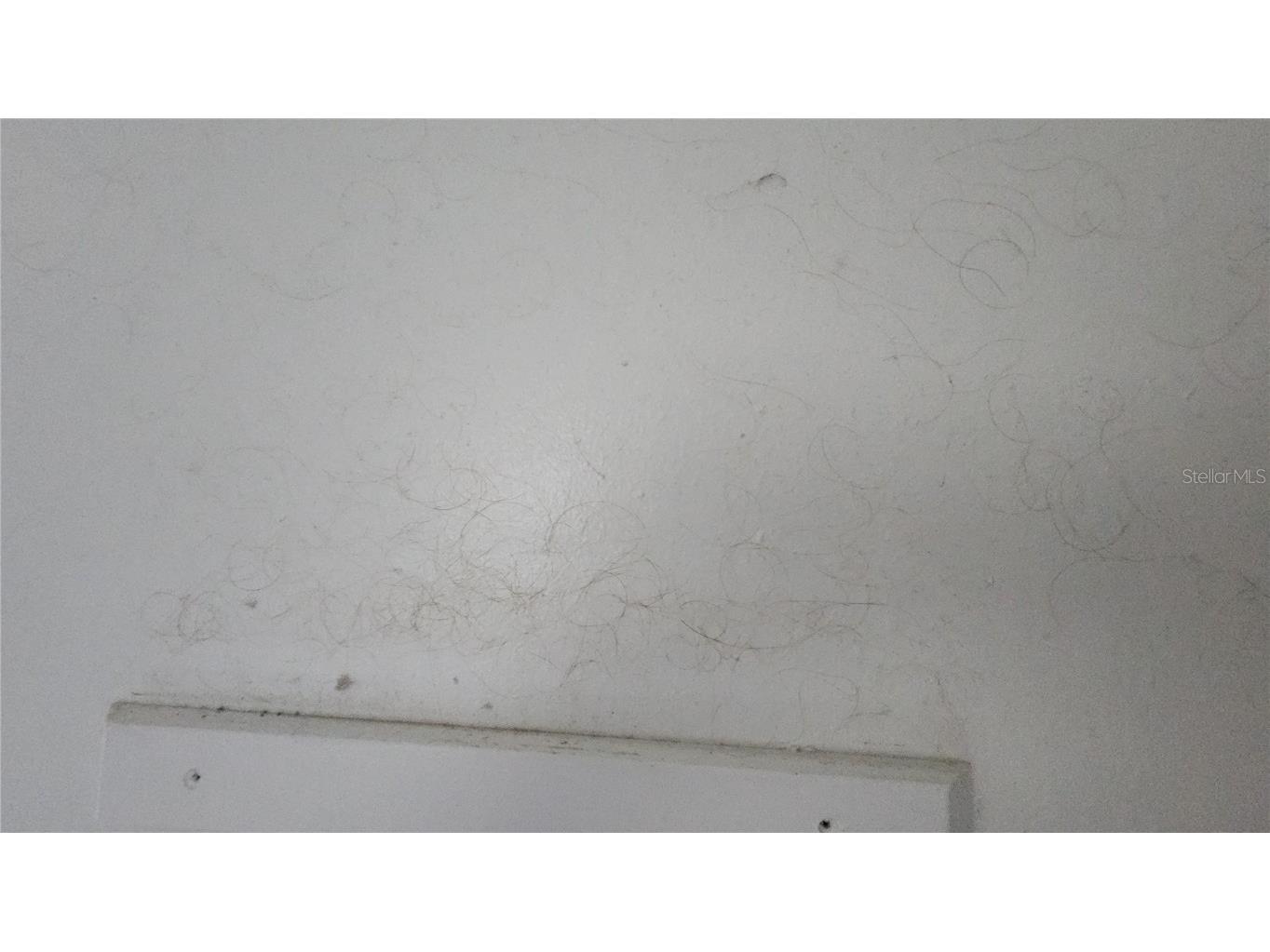 7124 Jasmin Drive New Port Richey FL 34652 W7878428 image36