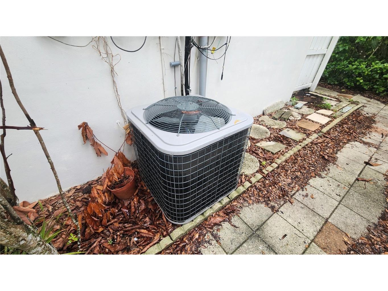 7124 Jasmin Drive New Port Richey FL 34652 W7878428 image52