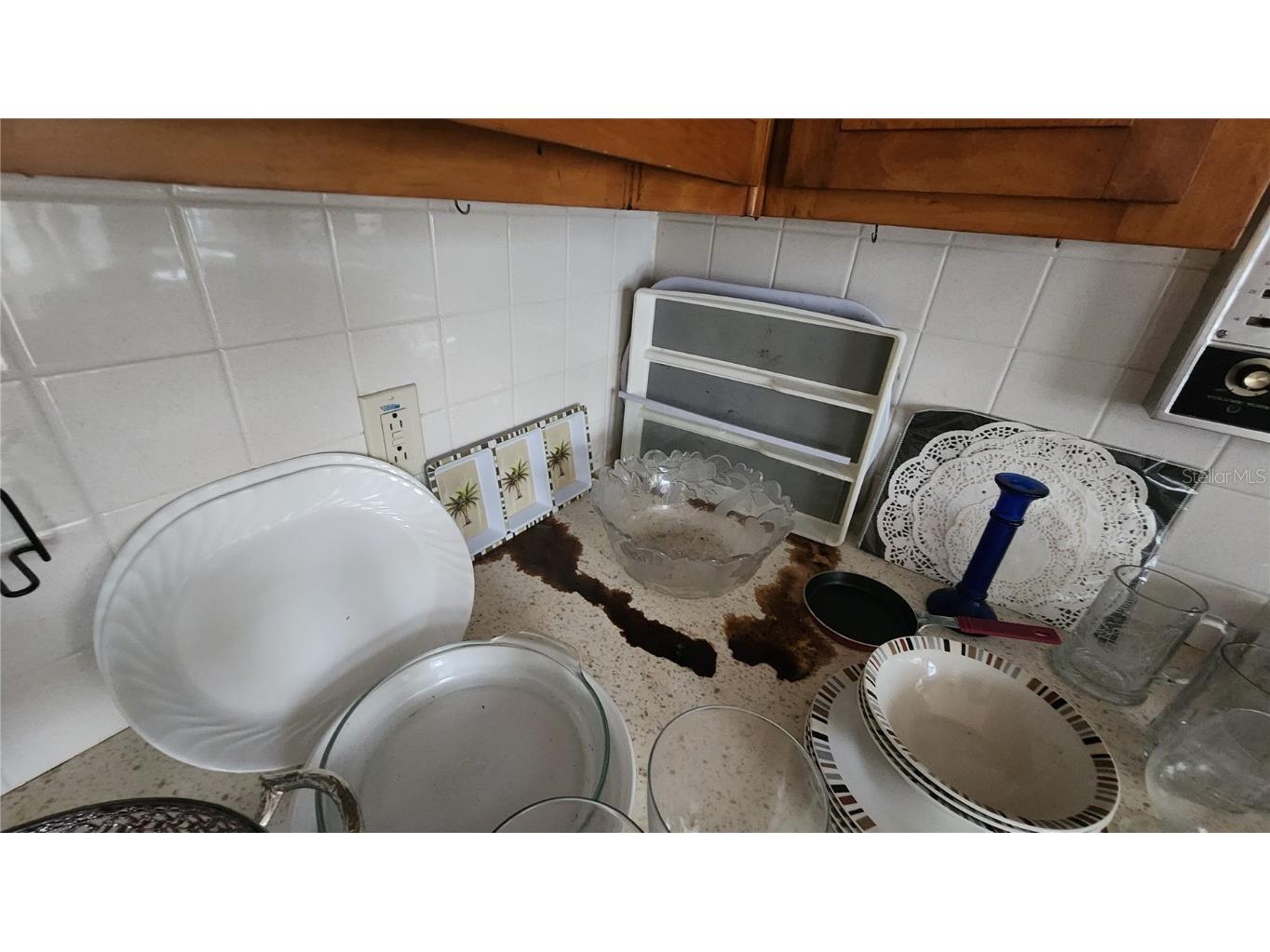 7124 Jasmin Drive New Port Richey FL 34652 W7878428 image8