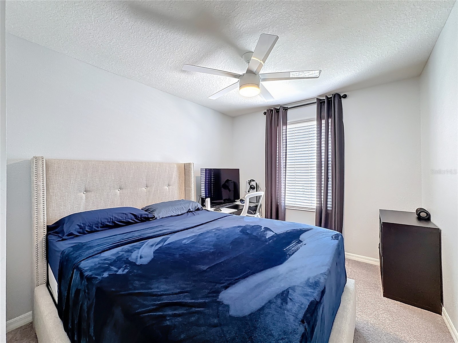 7124 Summer Holly Place Riverview FL 33578 TB8483597 image29