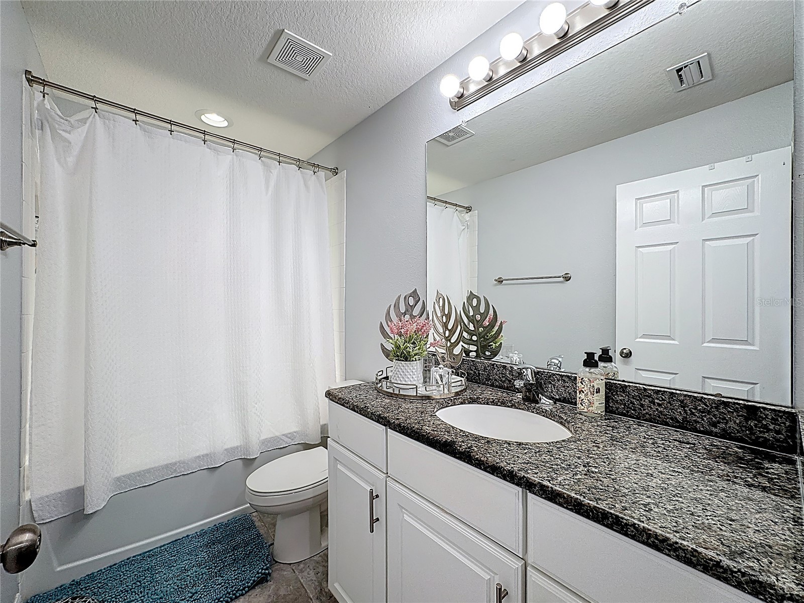 7124 Summer Holly Place Riverview FL 33578 TB8483597 image31