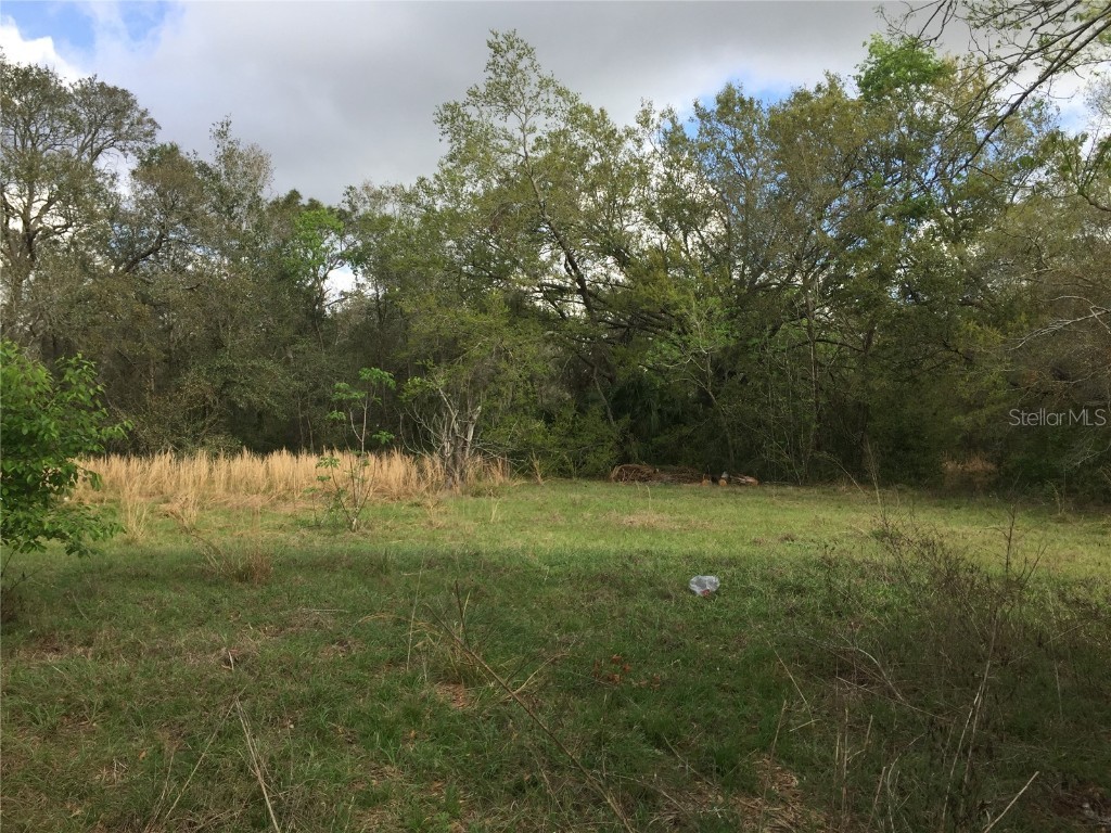 7125 Holly Street Mount Dora FL 32757 O6278379 image2