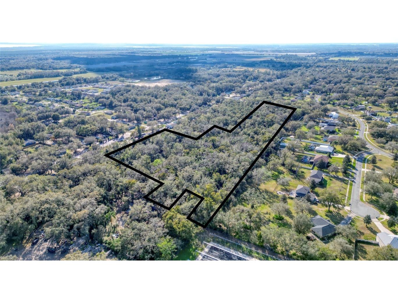 7125 Holly Street Mount Dora FL 32757 O6278379 image3