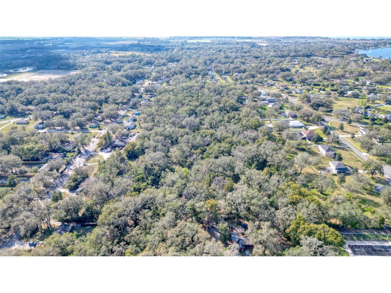 7125 Holly Street Mount Dora FL 32757 O6278379 image7