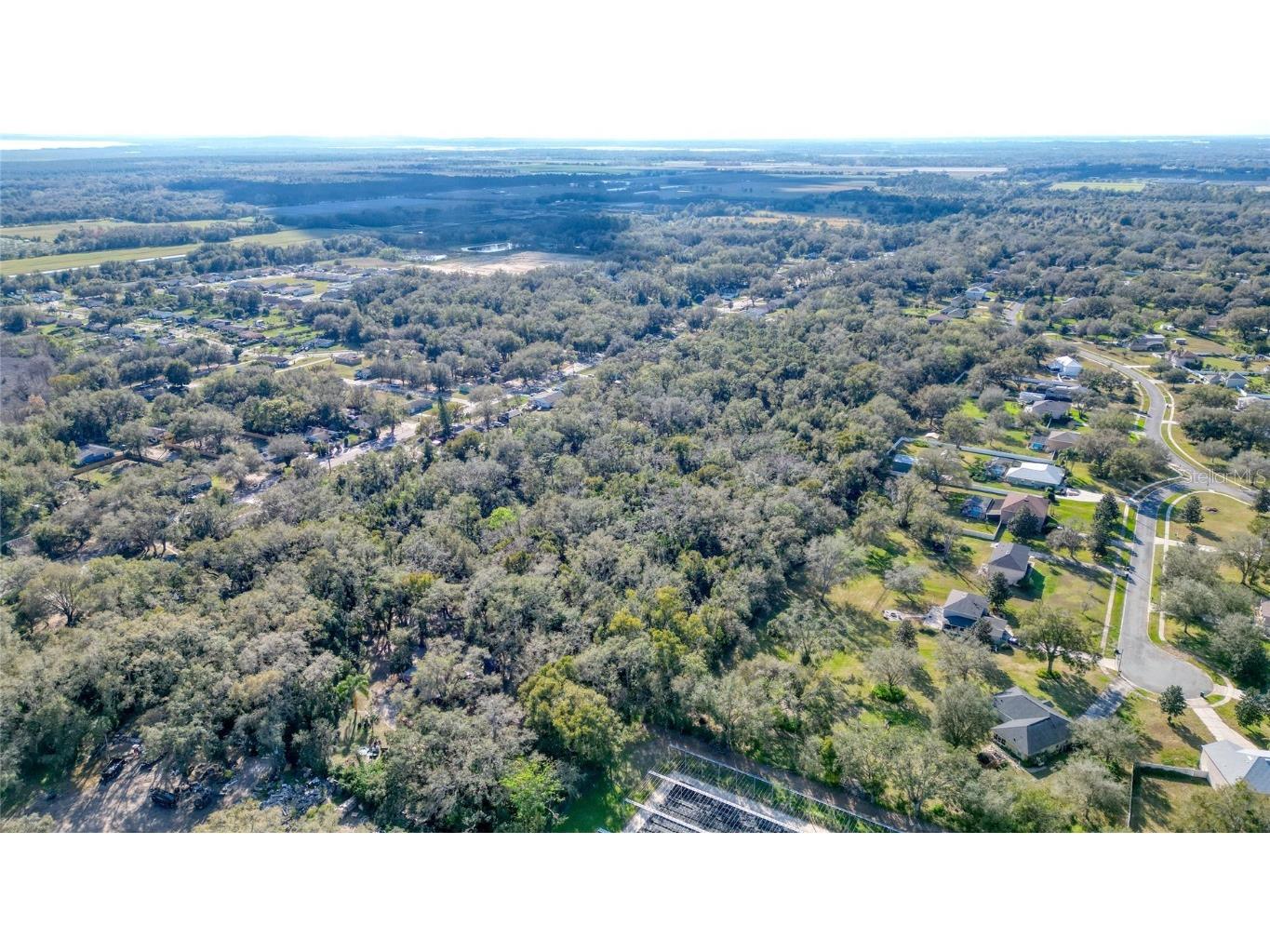 7125 Holly Street Mount Dora FL 32757 O6278379 image8