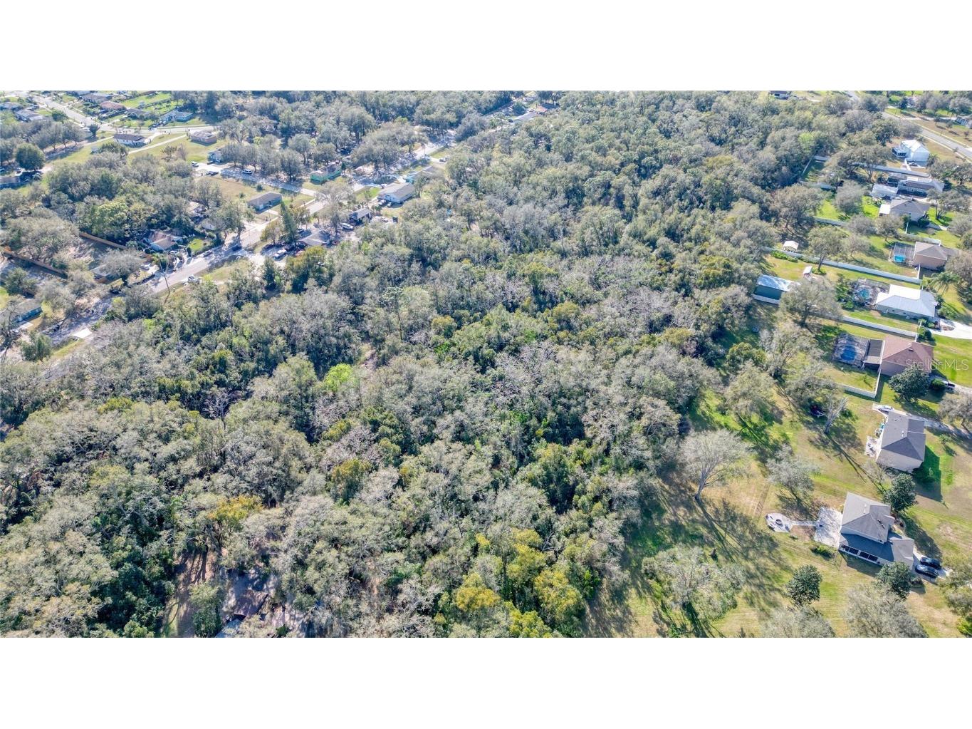 7125 Holly Street Mount Dora FL 32757 O6278379 image9