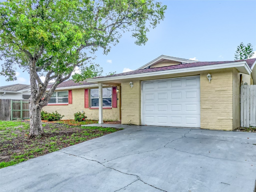 7125 Sandalwood Drive Port Richey FL 34668 TB8400804 image3