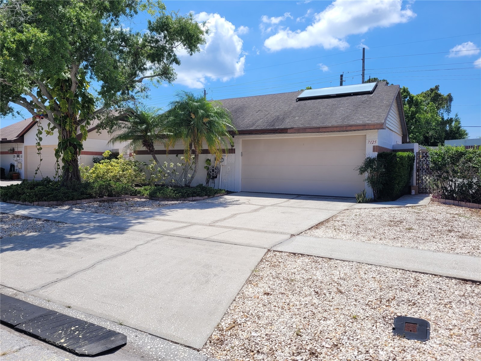 7125 Silvermill Drive Tampa FL 33635 TB8509450 image1