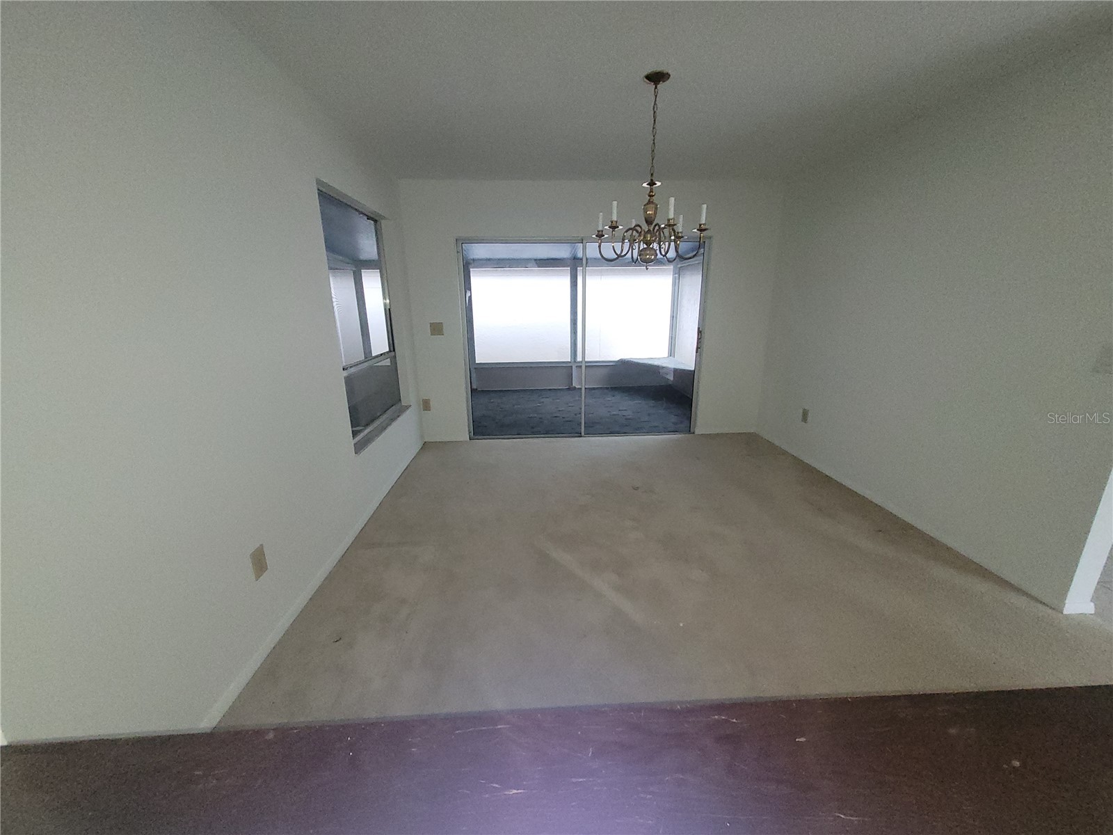 7125 Silvermill Drive Tampa FL 33635 TB8509450 image18
