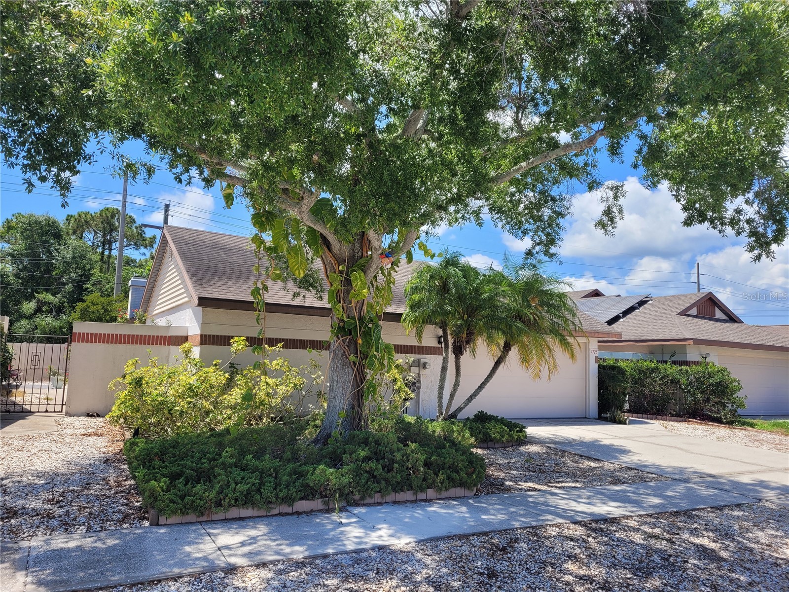 7125 Silvermill Drive Tampa FL 33635 TB8509450 image2