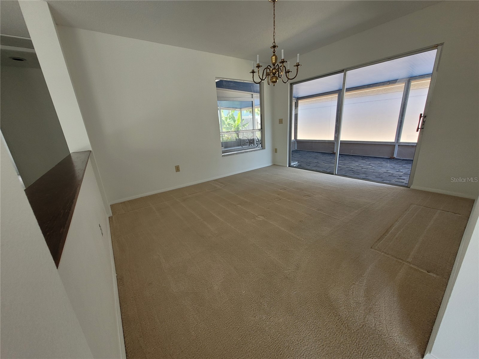 7125 Silvermill Drive Tampa FL 33635 TB8509450 image23