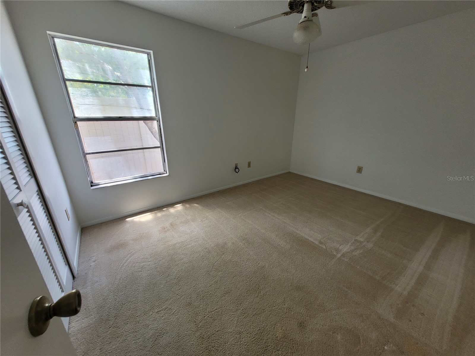 7125 Silvermill Drive Tampa FL 33635 TB8509450 image24