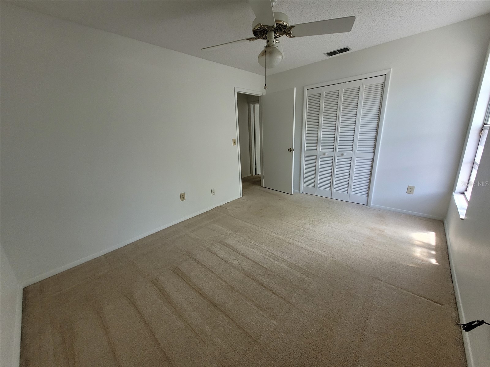 7125 Silvermill Drive Tampa FL 33635 TB8509450 image25