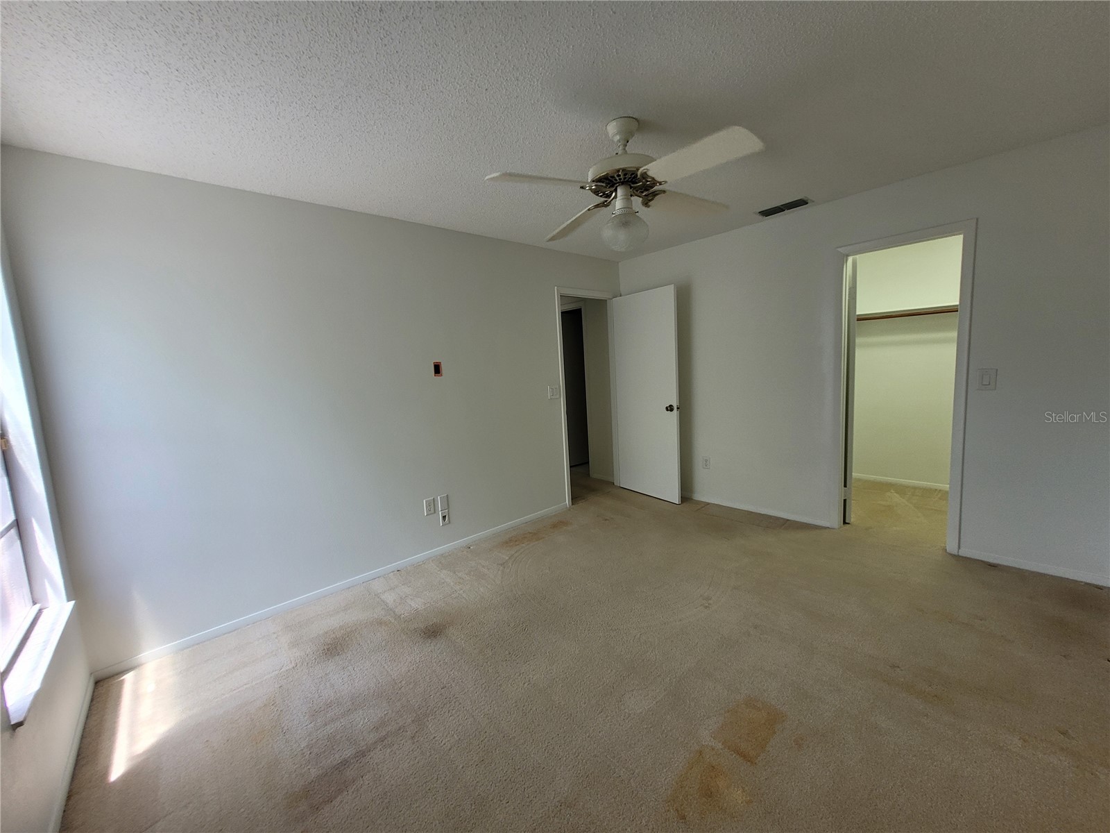 7125 Silvermill Drive Tampa FL 33635 TB8509450 image27