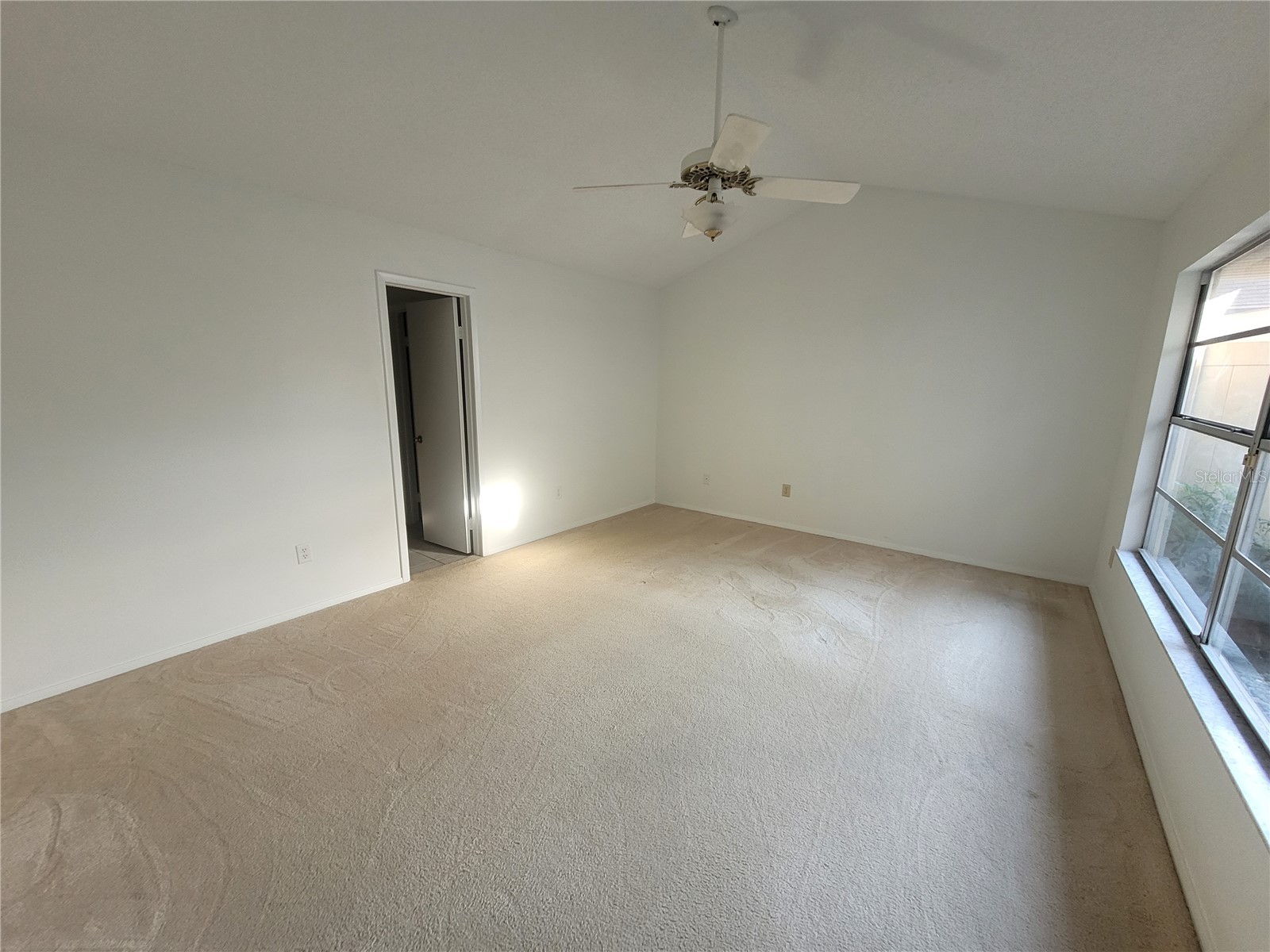 7125 Silvermill Drive Tampa FL 33635 TB8509450 image28