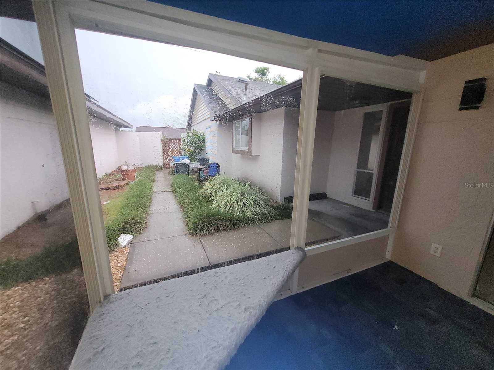 7125 Silvermill Drive Tampa FL 33635 TB8509450 image37