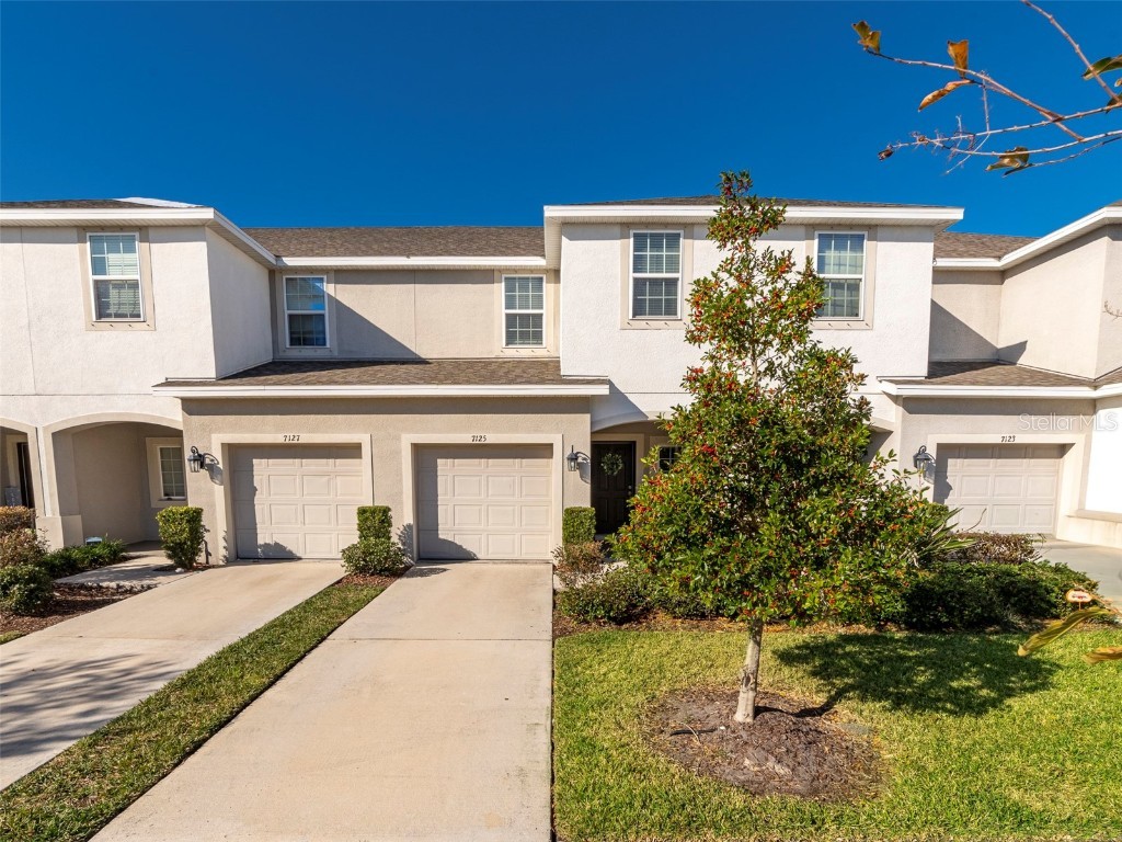 7125 Summer Holly Place Riverview FL 33578 TB8330309 image1