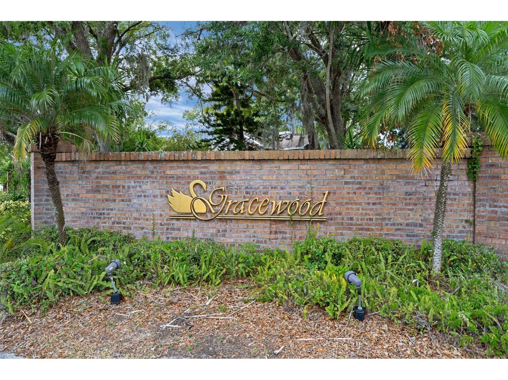 7127 Auburn Lane New Port Richey FL 34654 TB8501428 image52