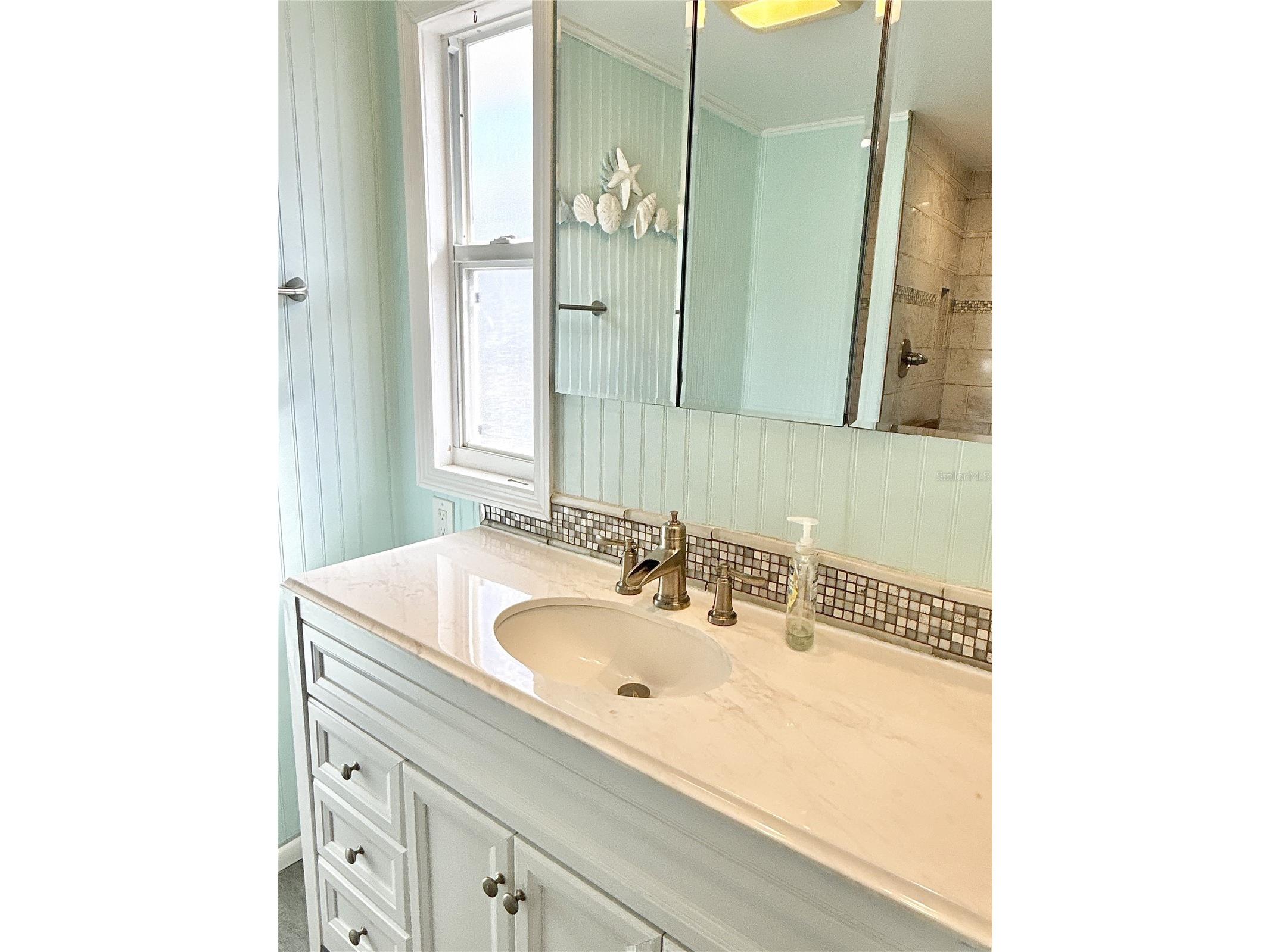 7127 Mount Piney Road NE #718 Saint Petersburg FL 33702 - TAMPA BAY TB8462093 image30