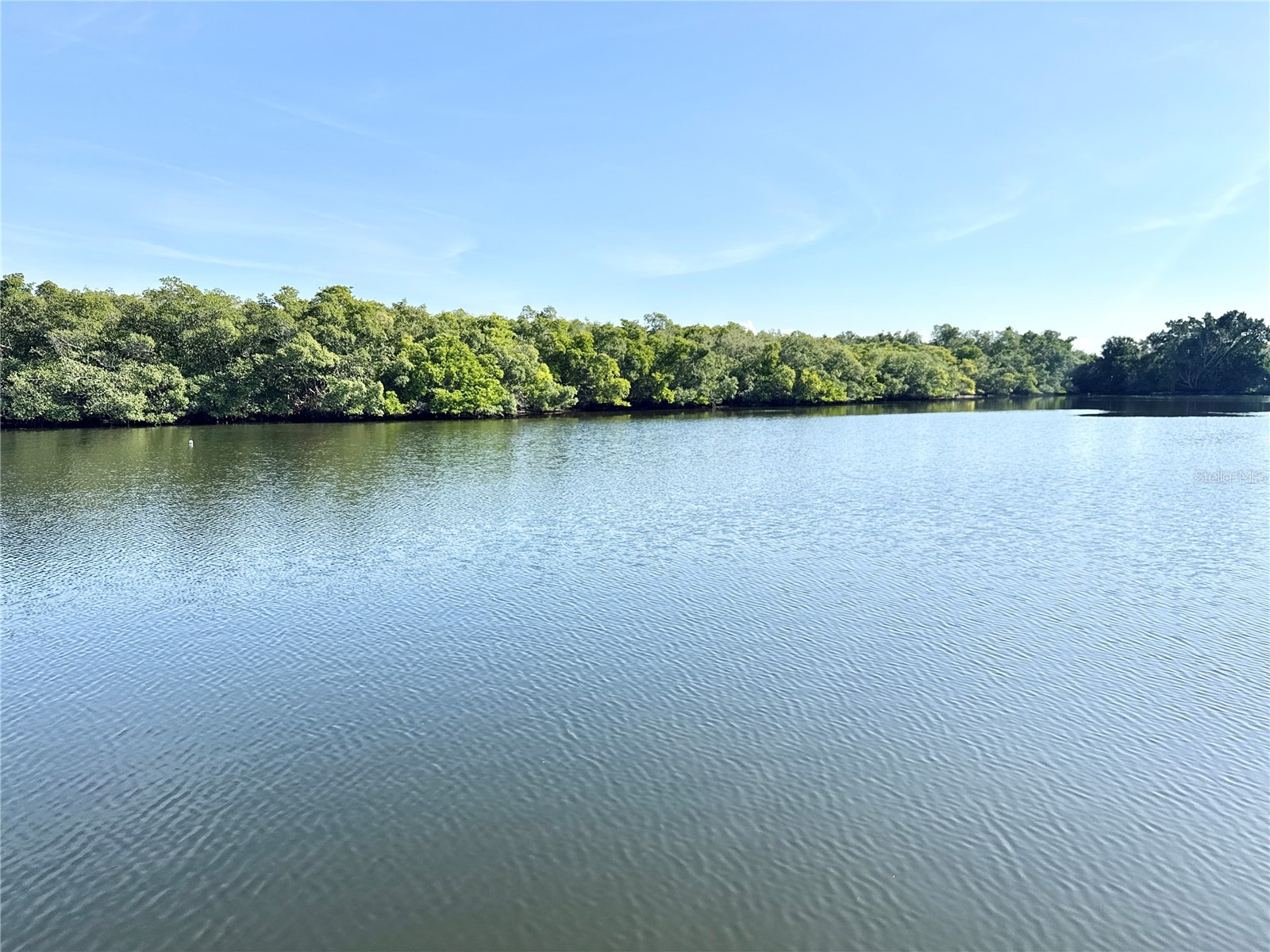 7127 Mount Piney Road NE #718 Saint Petersburg FL 33702 - TAMPA BAY TB8462093 image5