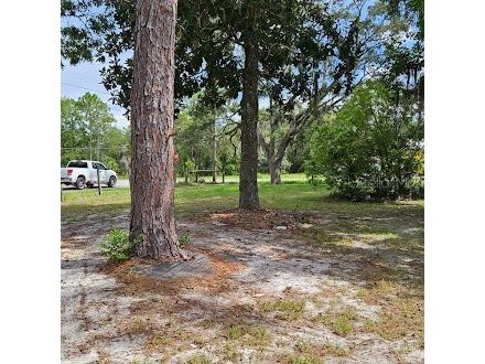 7127 W Grover Cleveland Boulevard #48 Homosassa FL 34446 TB8429626 image10