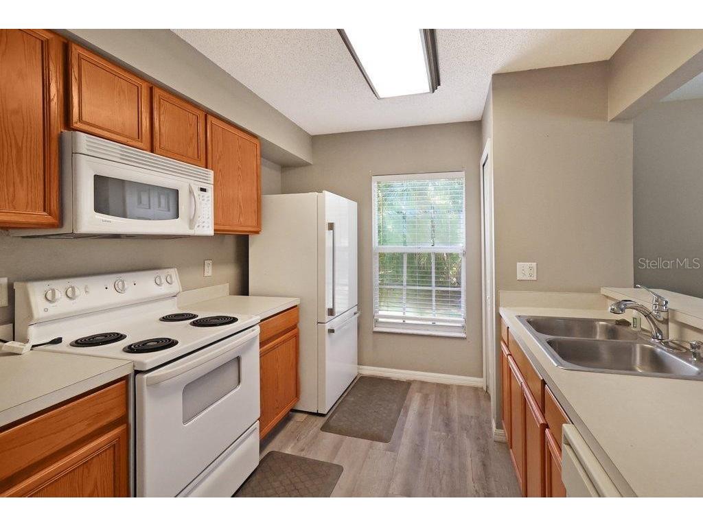 7127 Waterside Drive Tampa FL 33617 TB8526231 image17