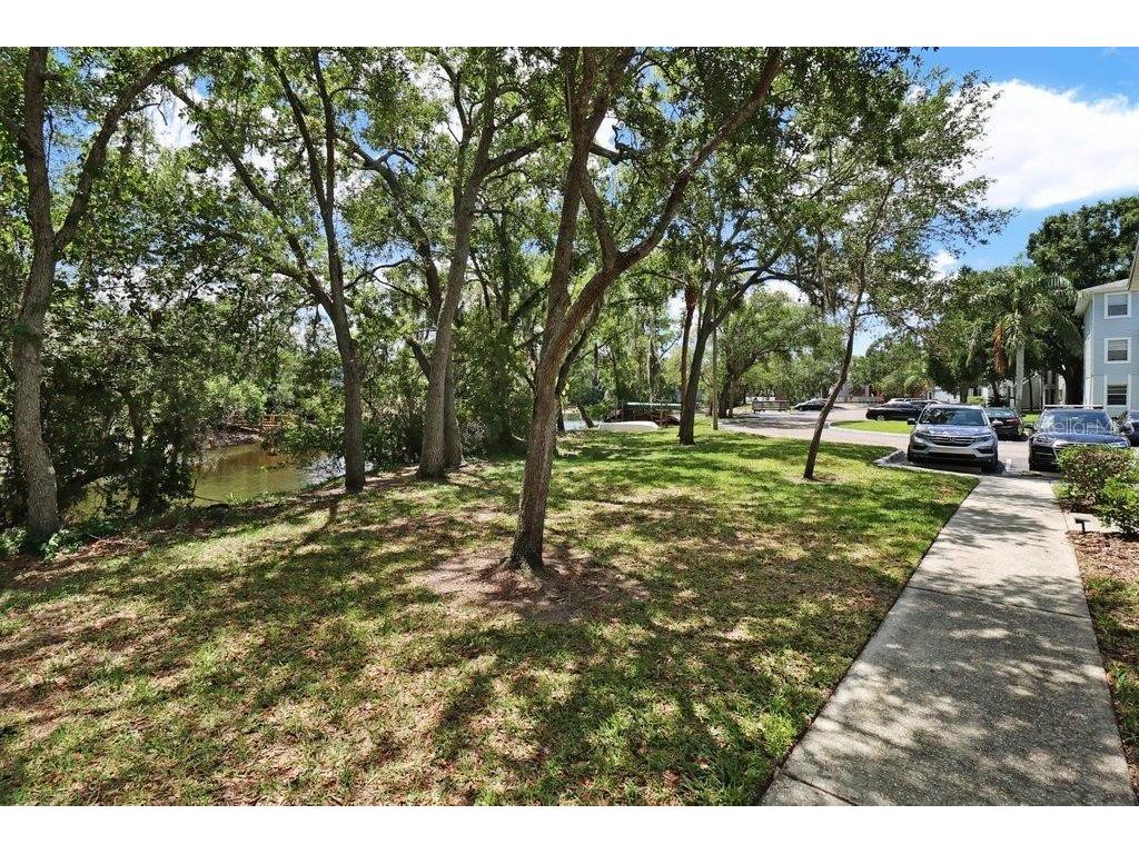 7127 Waterside Drive Tampa FL 33617 TB8526231 image46