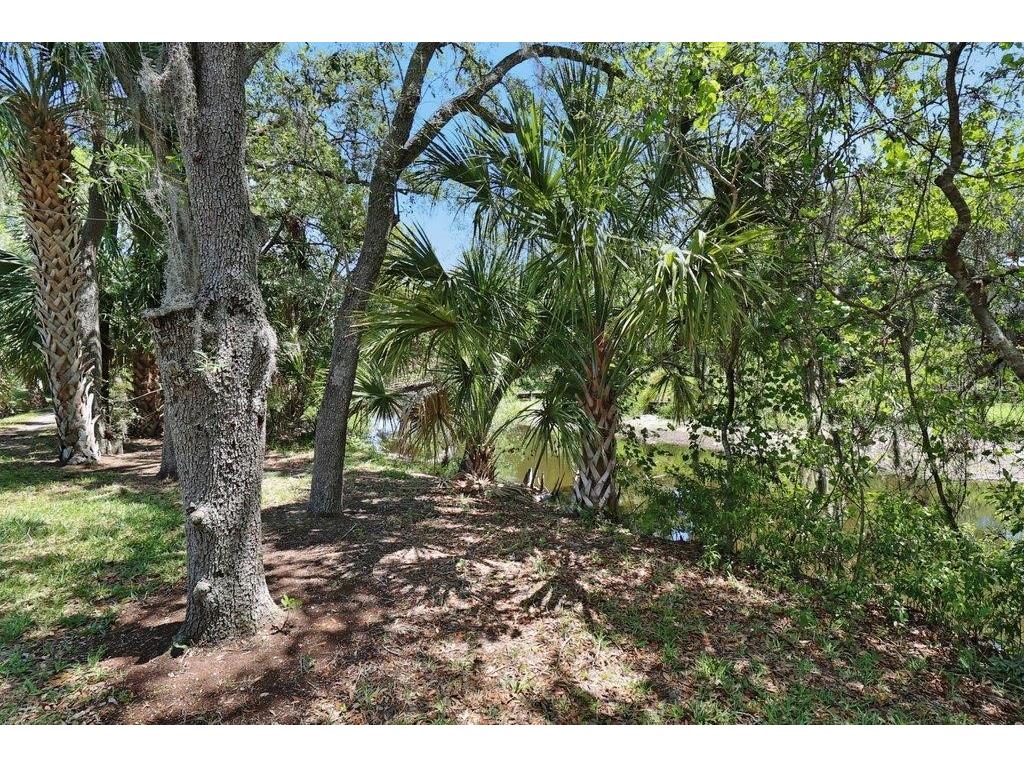 7127 Waterside Drive Tampa FL 33617 TB8526231 image47