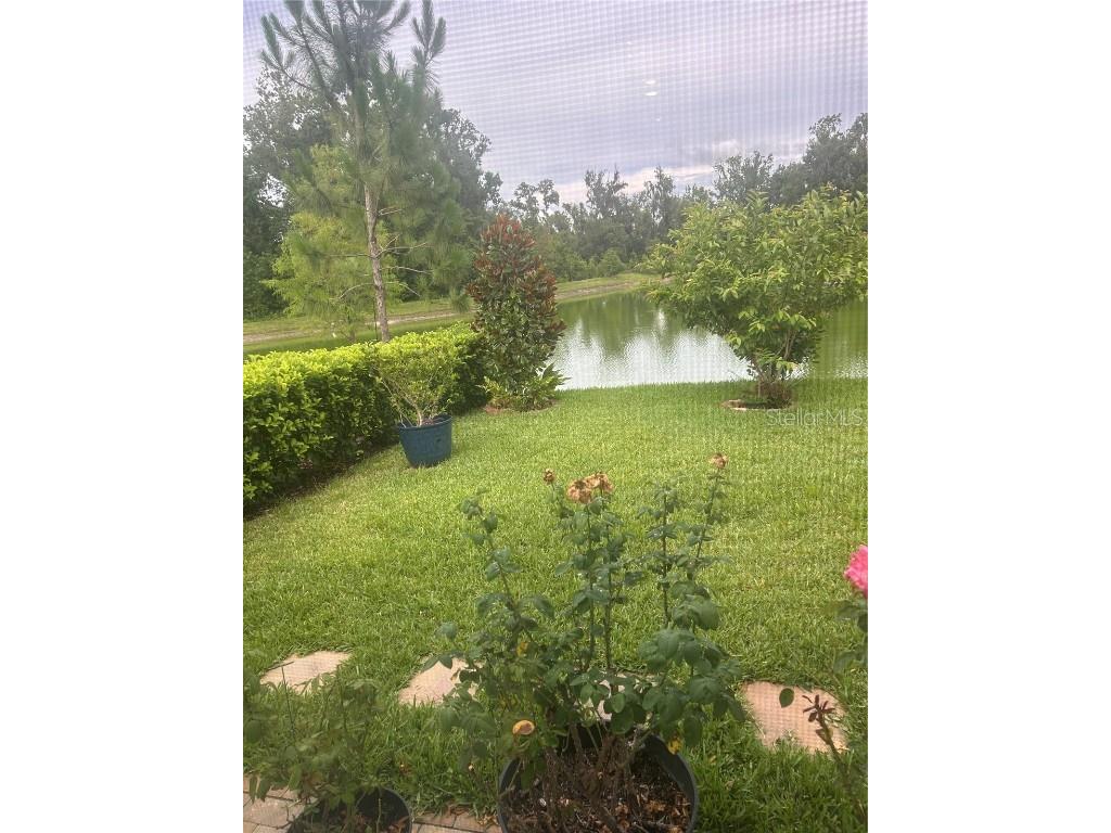 7128 Steer Blade Drive Zephyrhills FL 33541 TB8447632 image10