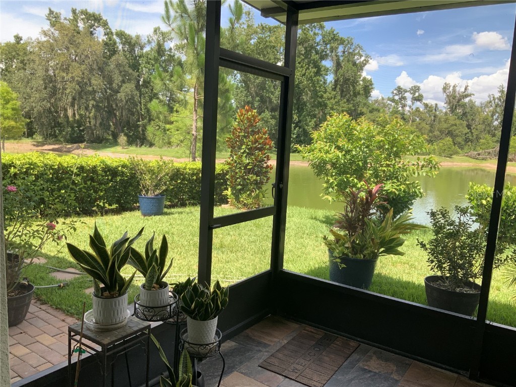 7128 Steer Blade Drive Zephyrhills FL 33541 TB8447632 image11