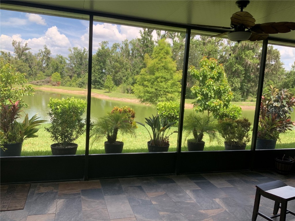 7128 Steer Blade Drive Zephyrhills FL 33541 TB8447632 image8