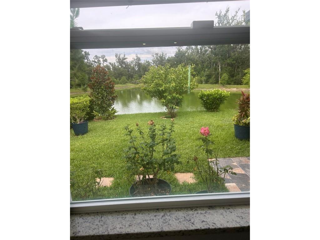 7128 Steer Blade Drive Zephyrhills FL 33541 TB8447632 image9